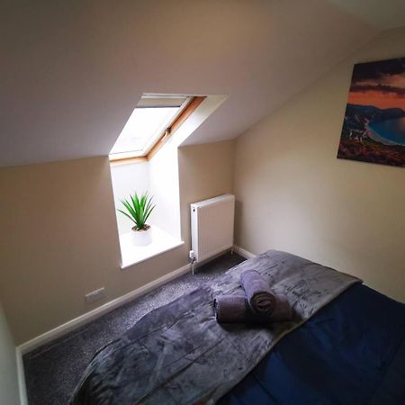 4Br Modern Botanic House Villa Белфаст Екстериор снимка