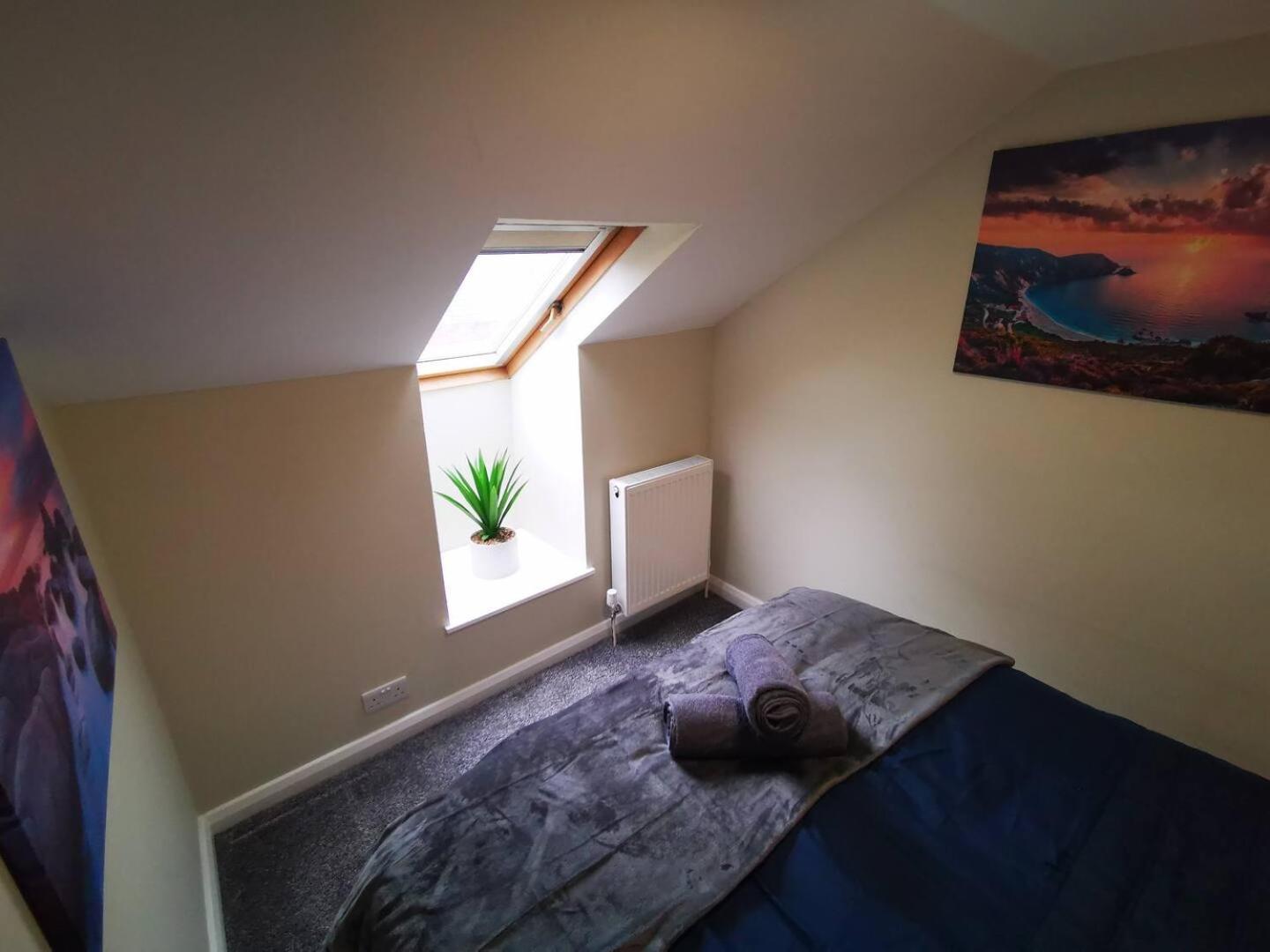 4Br Modern Botanic House Villa Белфаст Екстериор снимка