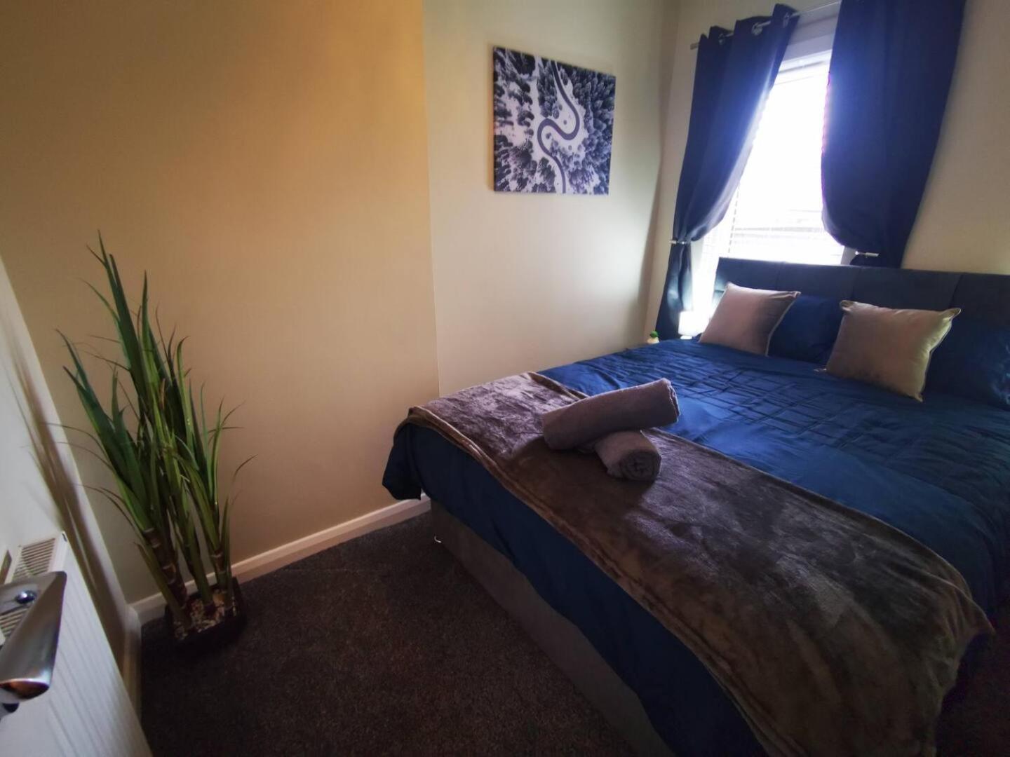 4Br Modern Botanic House Villa Белфаст Екстериор снимка